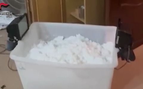 Smantellata rete di traffico di cocaina, 8 arresti in Italia