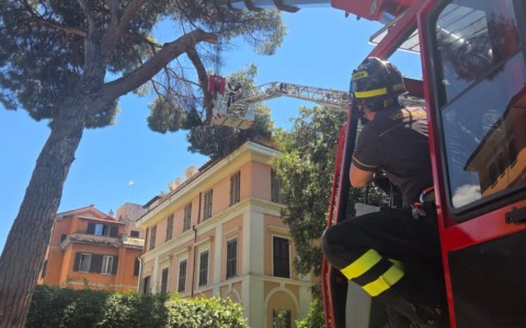 Rimosso ramo pericoloso in via delle Terme di Traiano
