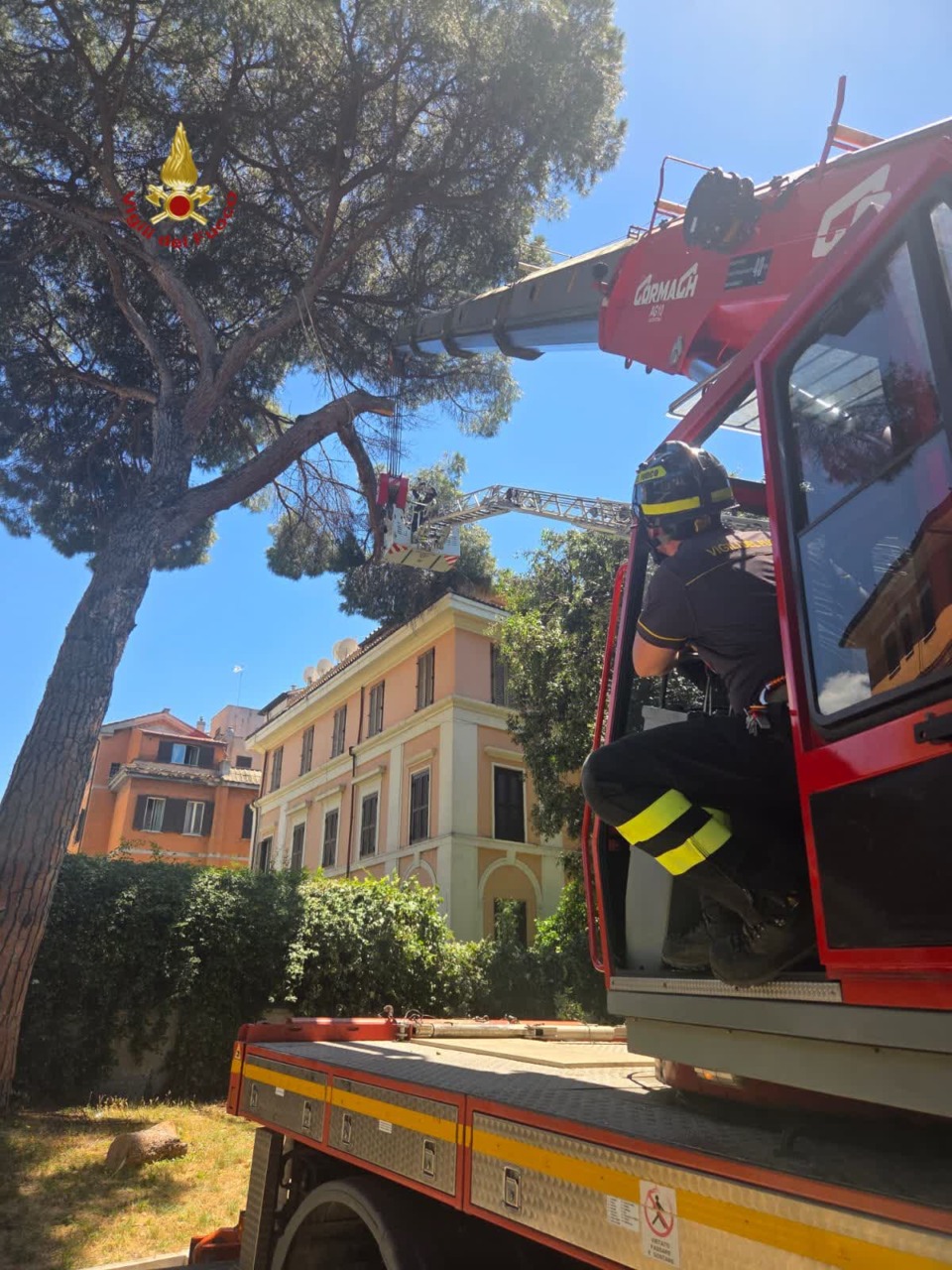 Rimosso ramo pericoloso in via delle Terme di Traiano
