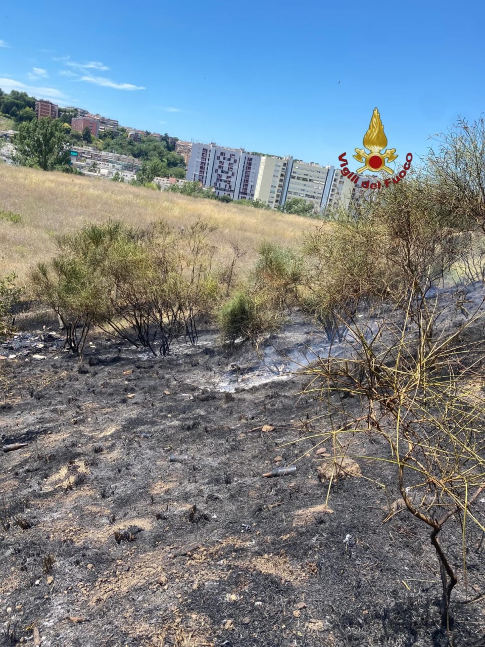 Incendio di sterpi a Monte Ciocci, intervento in corso