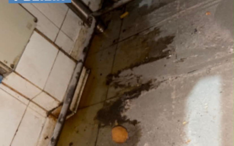 Sospesa pizzeria per gravi carenze igieniche