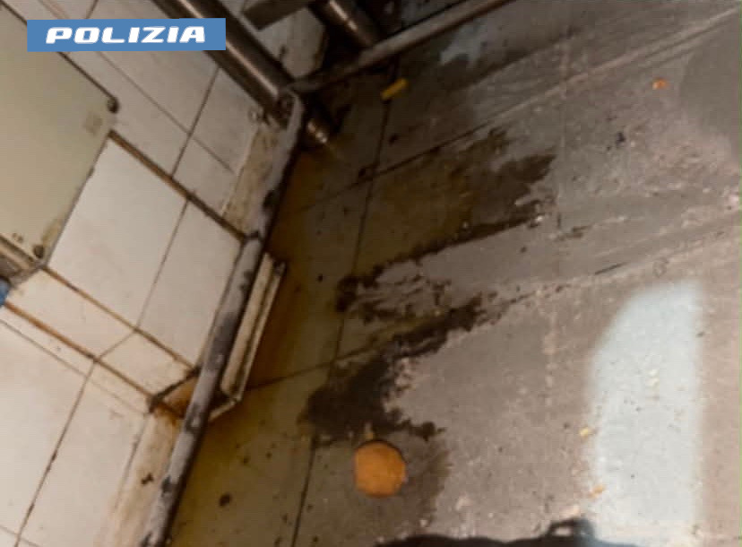 Sospesa pizzeria per gravi carenze igieniche