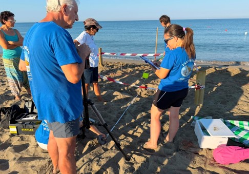 Nido di tartaruga Caretta Caretta scoperto sul litorale romano