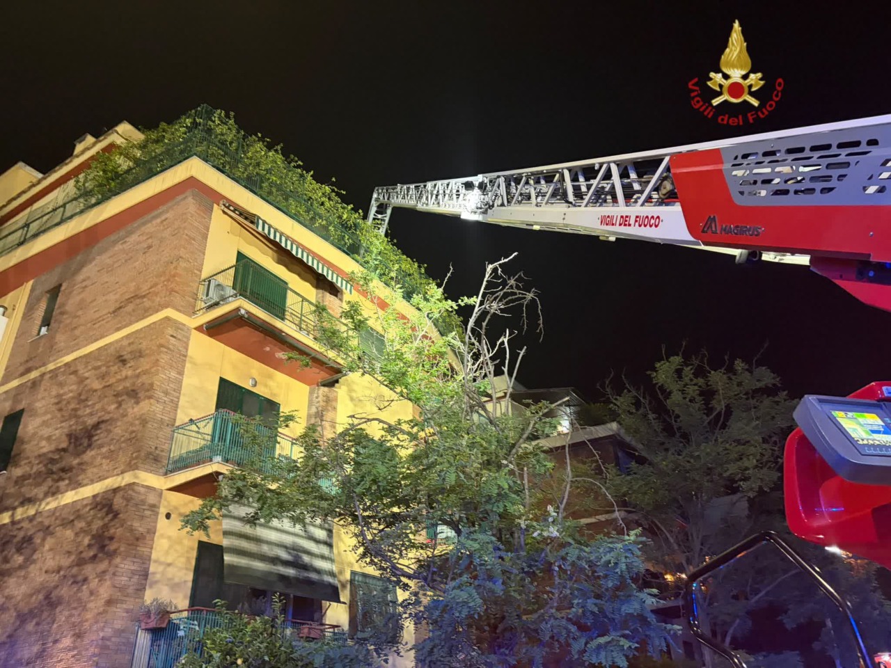 Incendio in appartamento: Vigili del Fuoco salvano due gattini