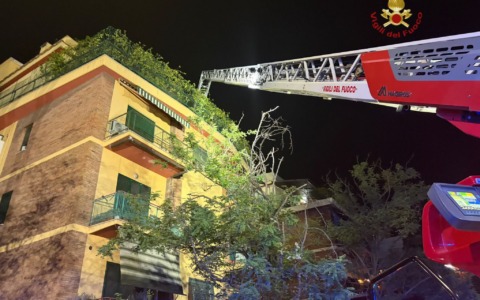 Incendio in appartamento: Vigili del Fuoco salvano due gattini
