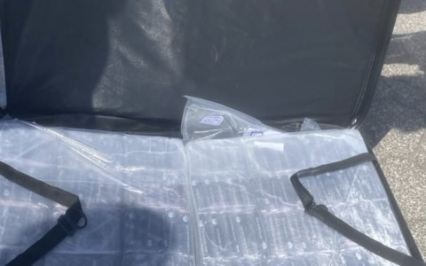 Arrestato a Roma un milanese per traffico di droga