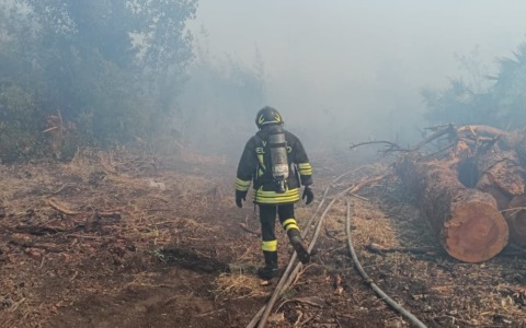 Incendi nel Lazio: 131 ettari distrutti nei primi sei mesi