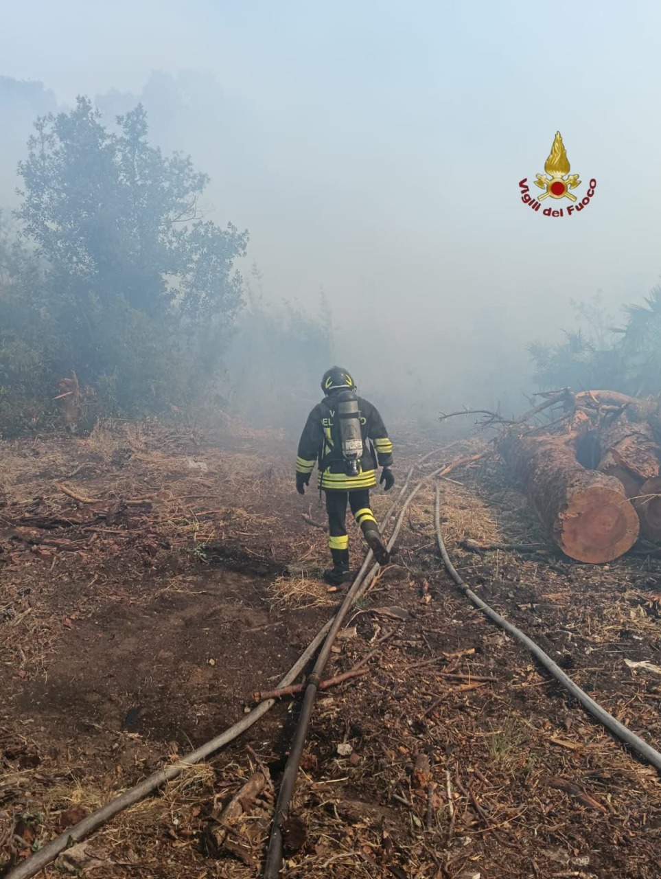 Incendi nel Lazio: 131 ettari distrutti nei primi sei mesi