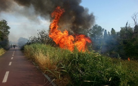 Incendi ai Castelli Romani, traffico ferroviario bloccato
