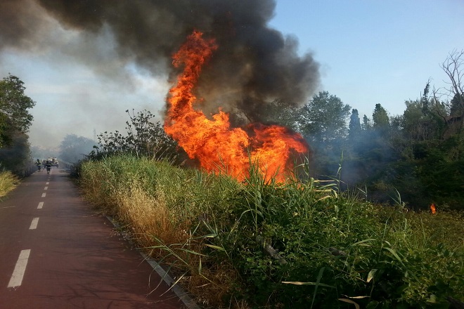 Incendi ai Castelli Romani, traffico ferroviario bloccato
