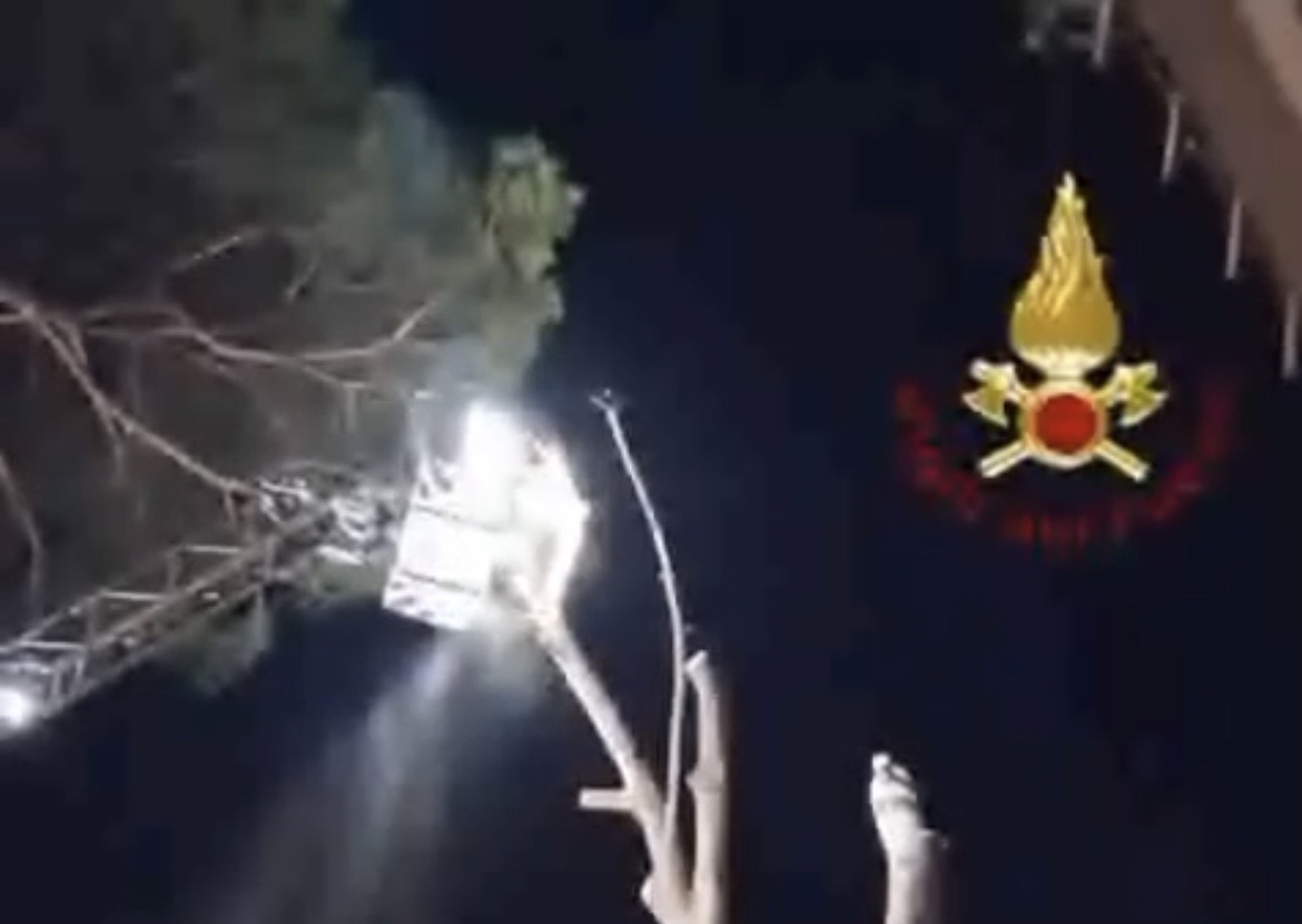 Albero pericolante abbattuto in via Campo Catino: IL VIDEO