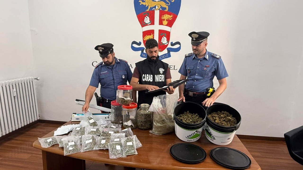 Canapa a basso Thc, tre arresti per irregolarità