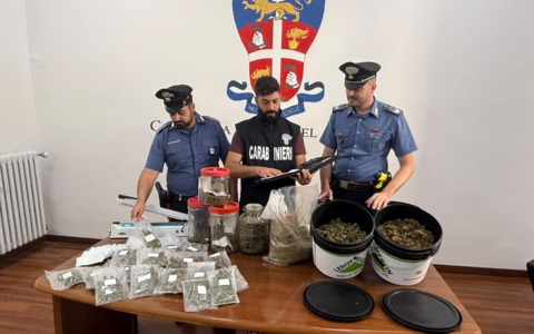 Canapa a basso Thc, tre arresti per irregolarità