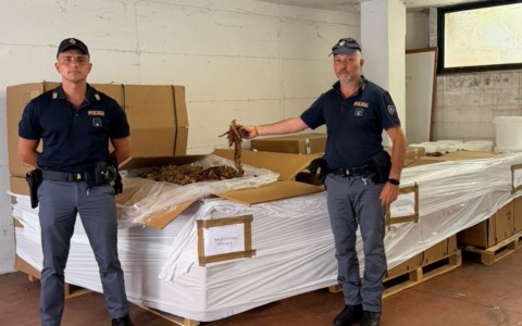 Scoperto deposito illegale: sequestrati 1.350 kg di tabacco