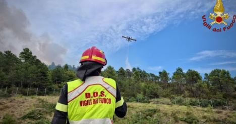 Incendi di vegetazione, Vigili del Fuoco al lavoro a Roma e Gavignano
