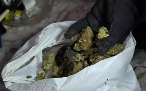 Droga, cinque arresti tra Roma, Nettuno e Velletri