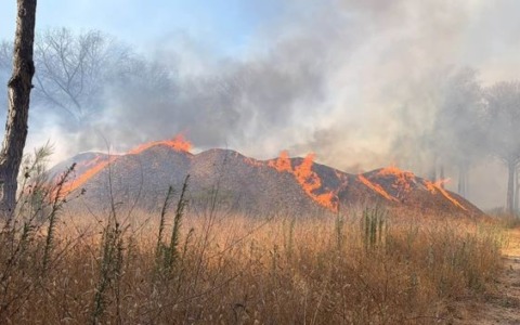 Incendio devastante nella Pineta della Campana: 60 ettari in fiamme