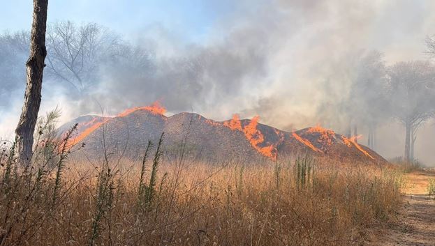 Incendio devastante nella Pineta della Campana: 60 ettari in fiamme