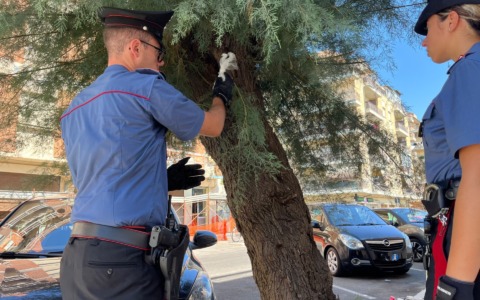 Esplosione in via Fasan, arrestati due uomini per spaccio