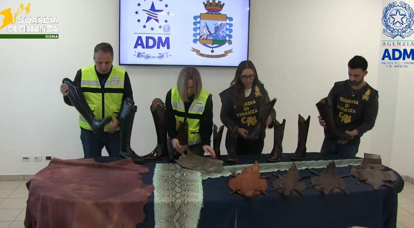 Sequestrati accessori di moda con pelli di animali protetti