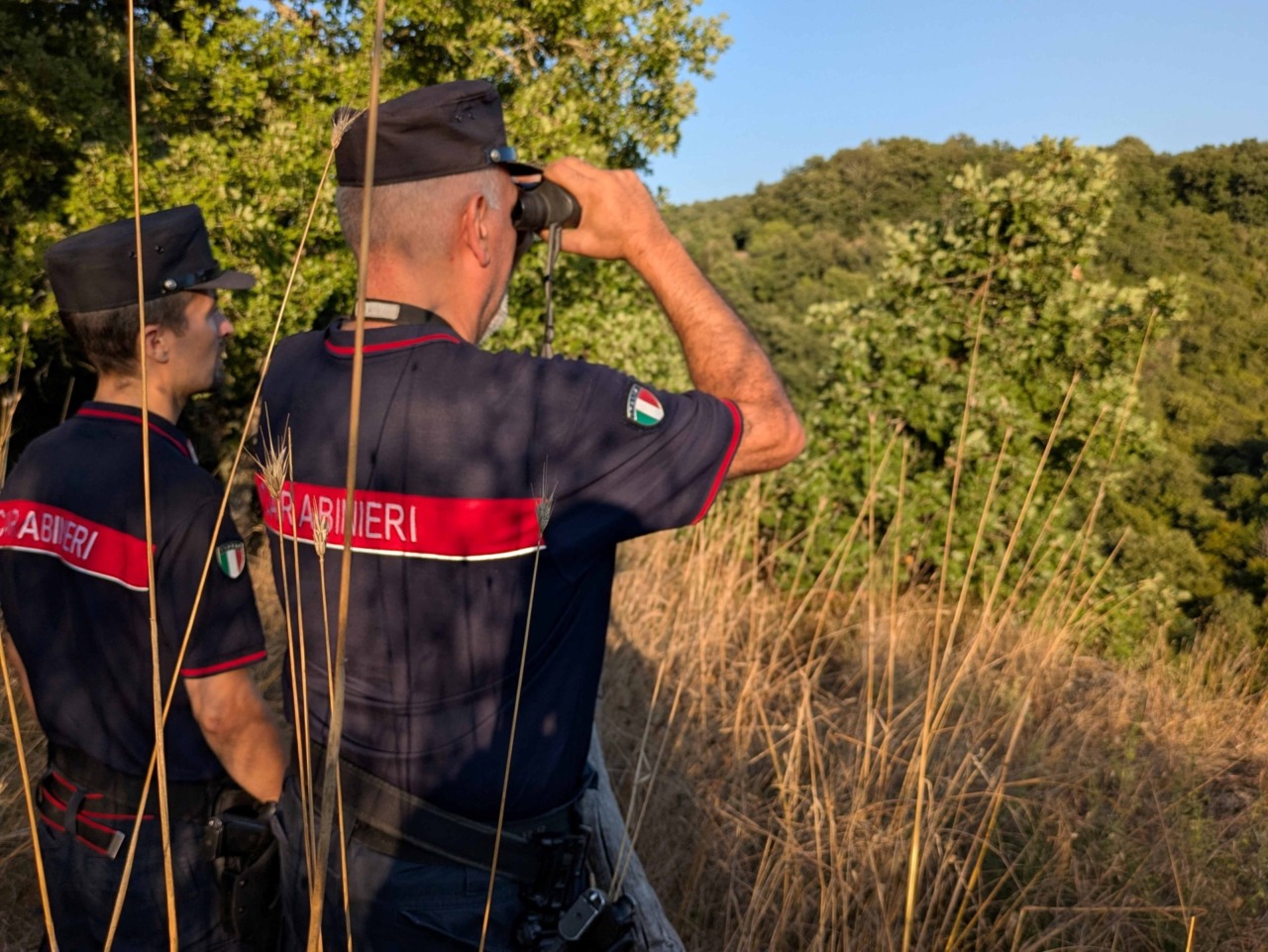 Capra sottratta e abusata: denunciato un 30enne a Zagarolo