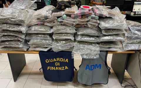 Civitavecchia, 85 chili di droga nel rimorchio: arrestato