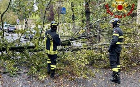 Maltempo a Roma, alberi caduti e auto danneggiate