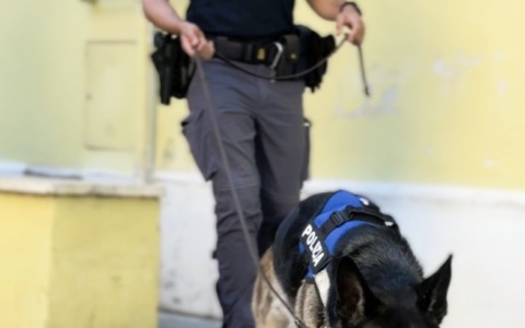 Spaccio a Roma Est: droga tra cucina, frigo e strada, 6 arresti