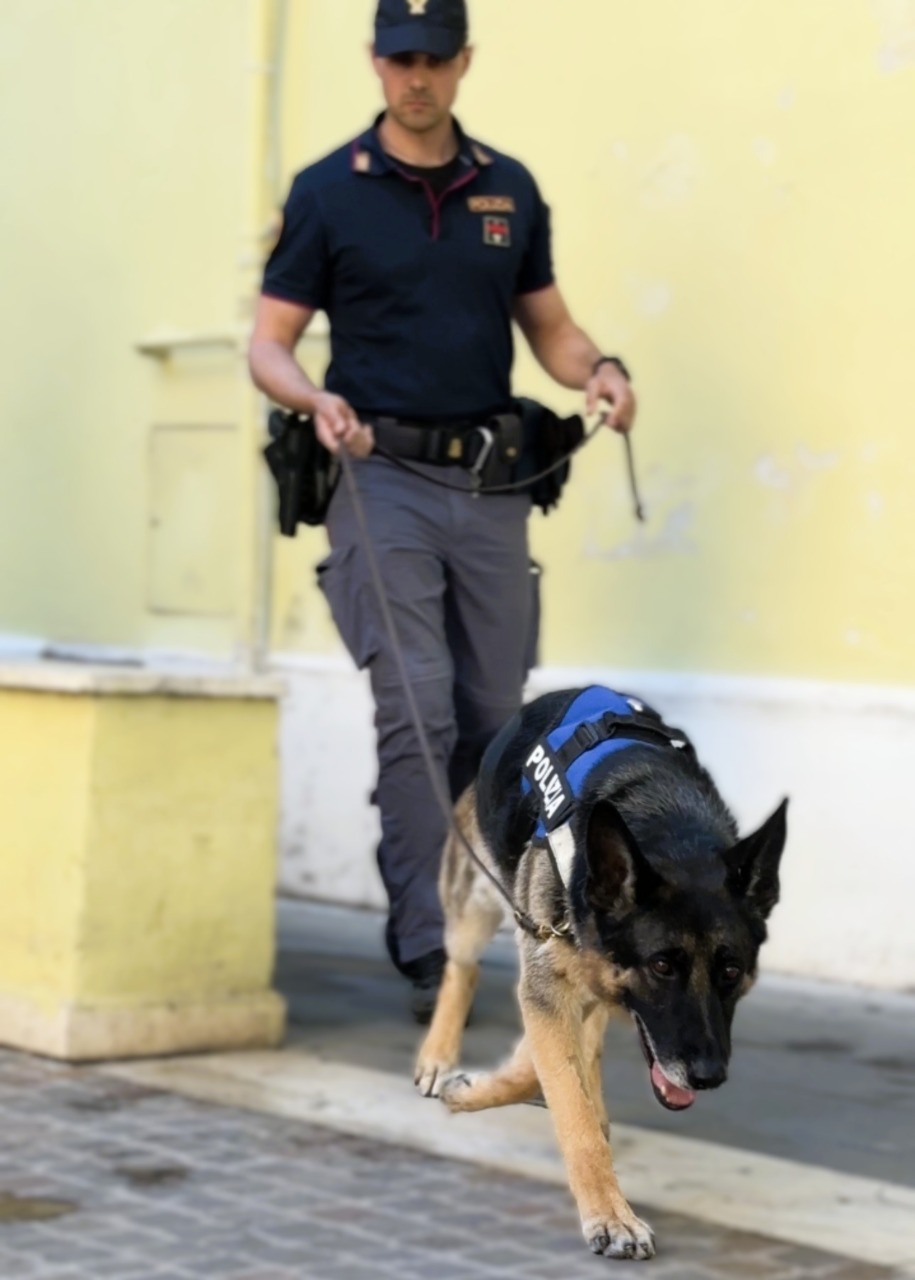 Spaccio a Roma Est: droga tra cucina, frigo e strada, 6 arresti