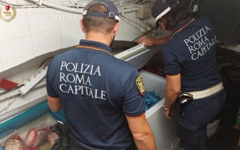 Zona rossa: sequestrati oltre 60 chili di alimenti e 200 articoli