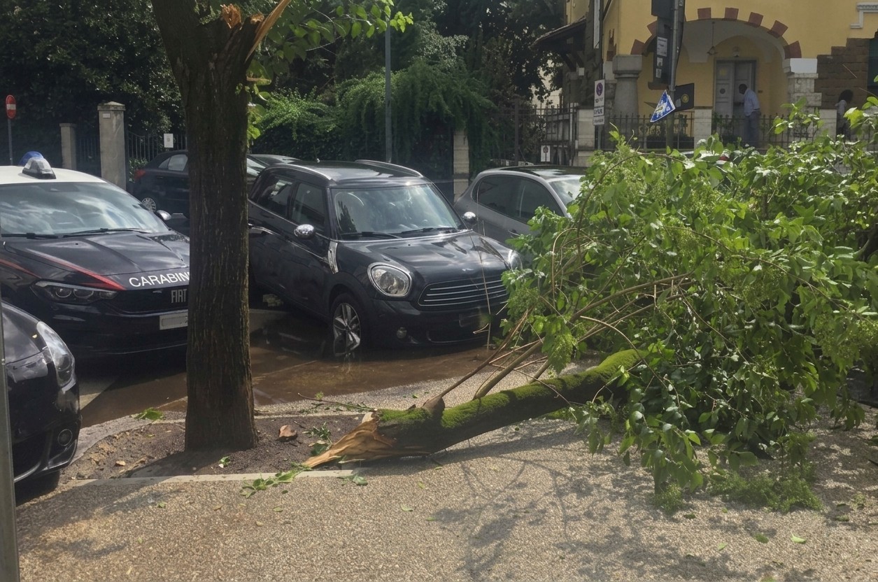 Ramo cade vicino al Liceo Avogadro: feriti tre studenti