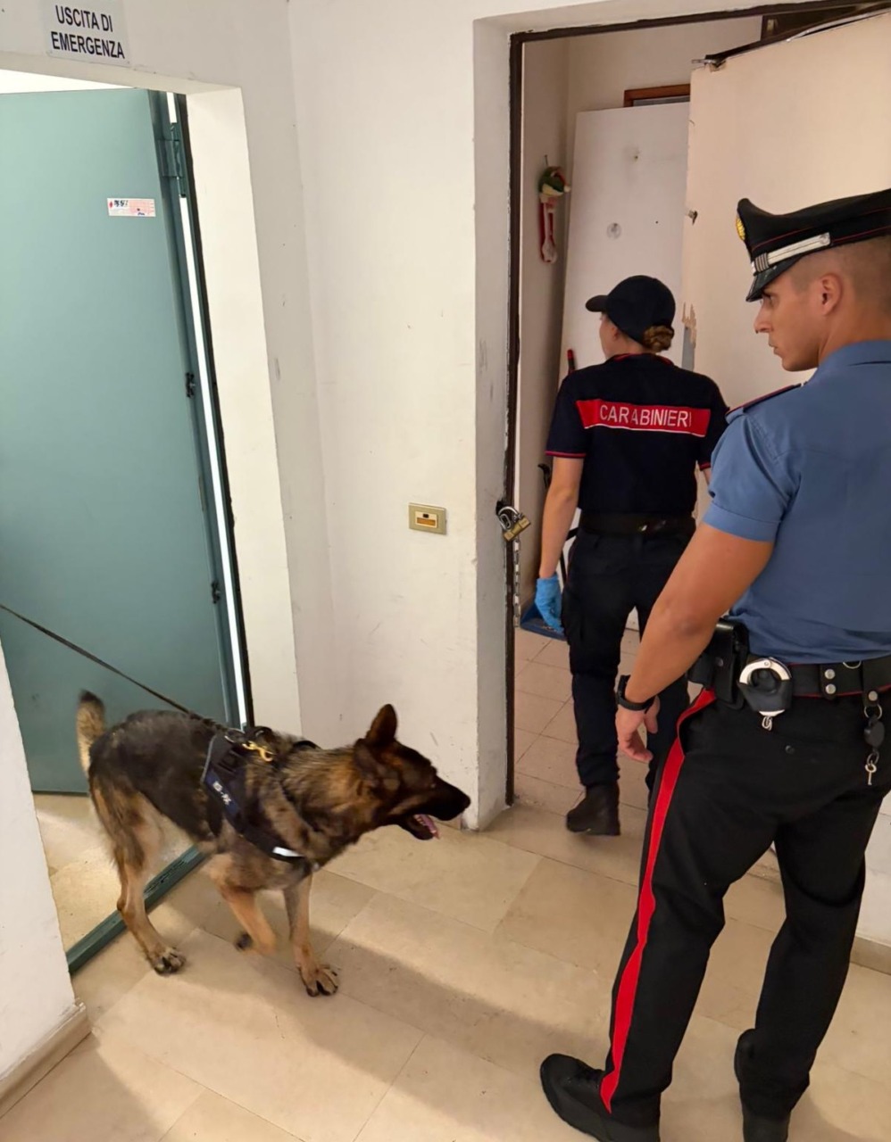Cocaina nel casco dello scooter: arrestato 54enne