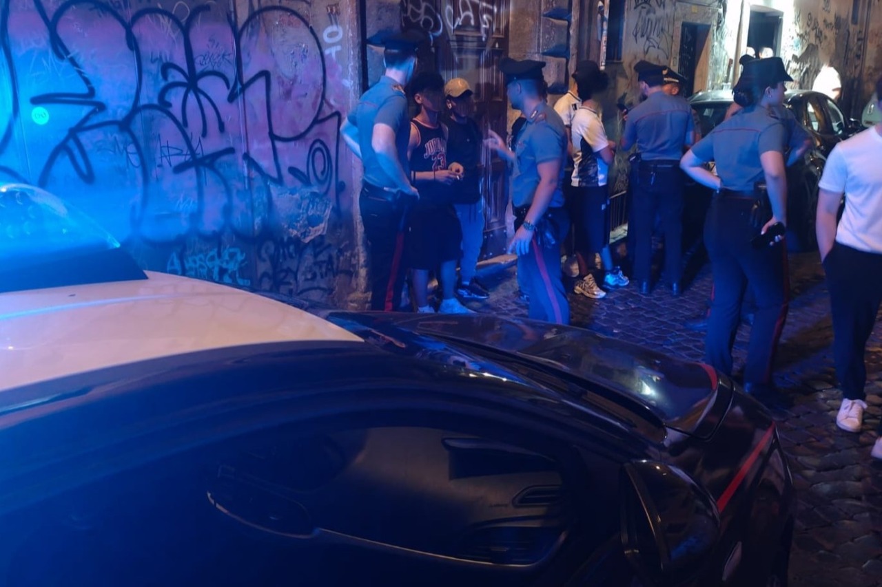 Roma, controlli antidroga: 11 arresti e maxi sequestro