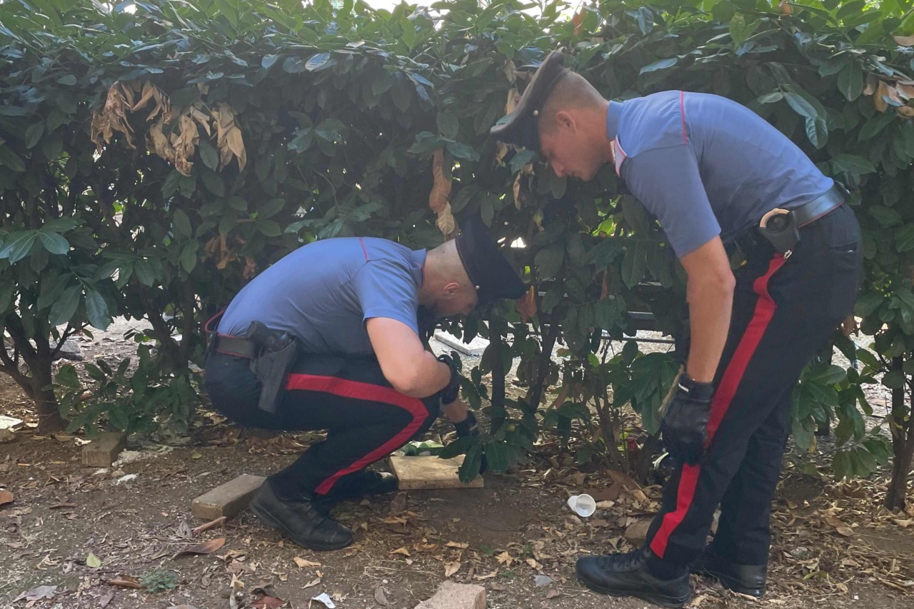 Operazione antidroga a Roma: 15 arresti e droga sequestrata