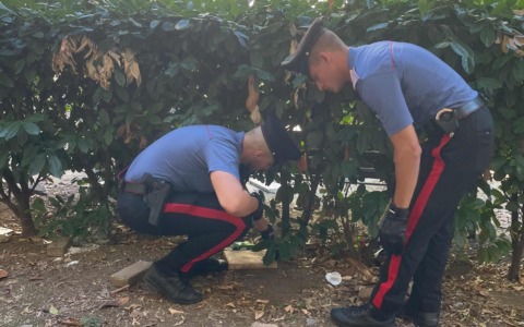 Operazione antidroga a Roma: 15 arresti e droga sequestrata