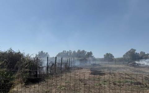 Fiamme vicino alle case: evacuate 30 persone a Fiumicino
