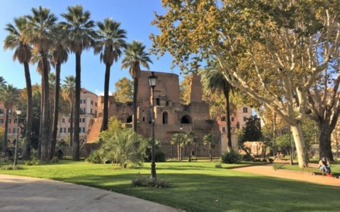 Palme storiche, al via il quarto ciclo di cura