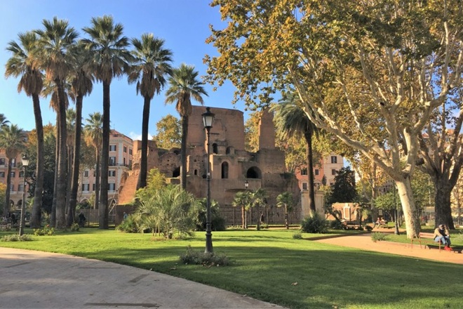 Palme storiche, al via il quarto ciclo di cura